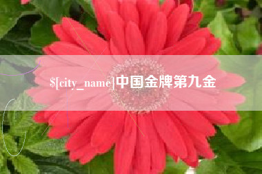 河南中国金牌第九金