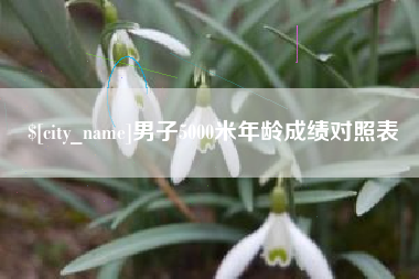 河南男子5000米年龄成绩对照表