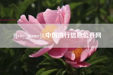 河南1.中国执行信息公开网
