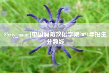 河南中国消防救援学院2024年招生分数线