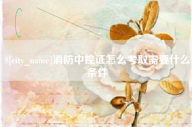 河南消防中控证怎么考取需要什么条件