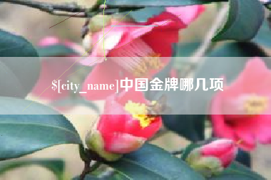 河南中国金牌哪几项