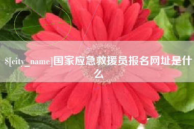 河南国家应急救援员报名网址是什么
