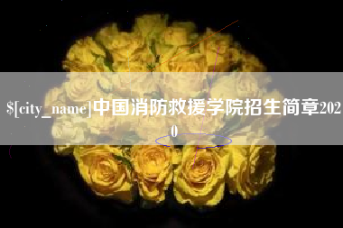河南中国消防救援学院招生简章2020