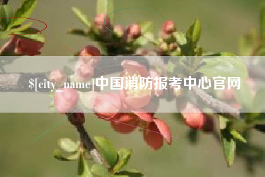 河南中国消防报考中心官网