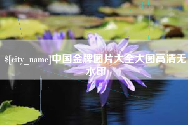 河南中国金牌图片大全大图高清无水印