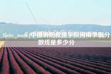 河南中国消防救援学院河南录取分数线是多少分