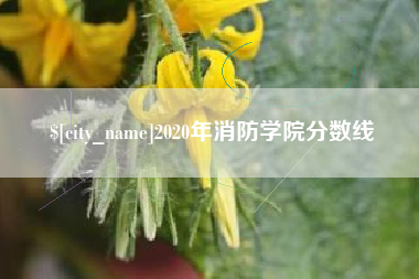 河南2020年消防学院分数线