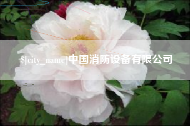 河南中国消防设备有限公司