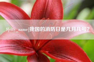 河南我国的消防日是几月几号？