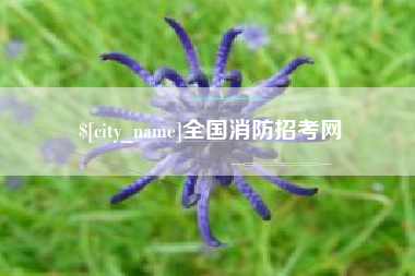 河南全国消防招考网