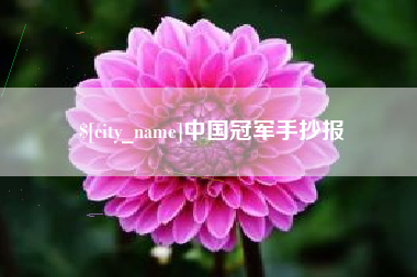 河南中国冠军手抄报