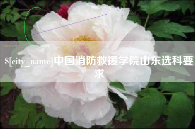 河南中国消防救援学院山东选科要求