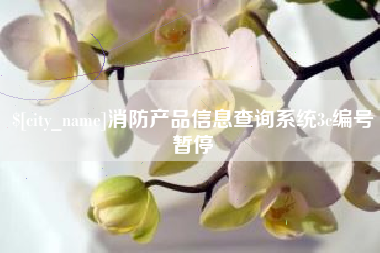 河南消防产品信息查询系统3c编号暂停