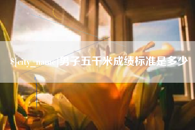 河南男子五千米成绩标准是多少