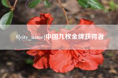 河南中国九枚金牌获得者