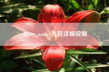 河南九宫详细说明