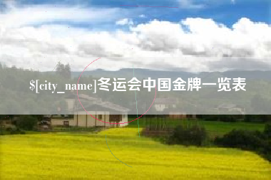 河南冬运会中国金牌一览表