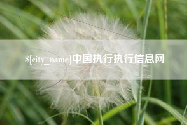 河南中国执行执行信息网