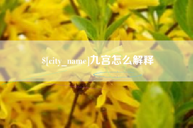 河南九宫怎么解释
