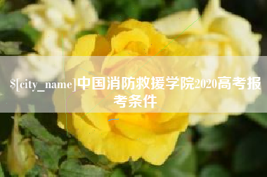 河南中国消防救援学院2020高考报考条件