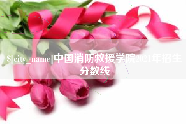河南中国消防救援学院2021年招生分数线