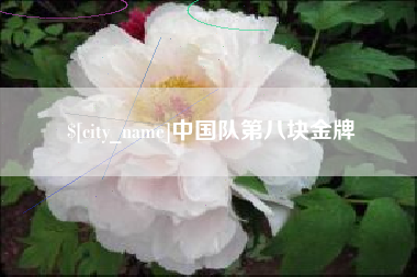 河南中国队第八块金牌