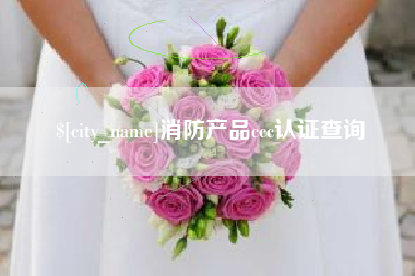 河南消防产品ccc认证查询
