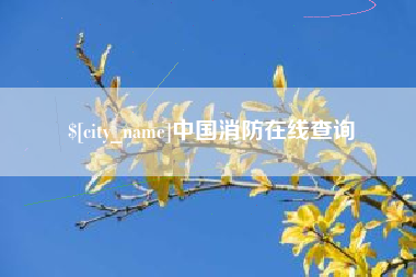 河南中国消防在线查询