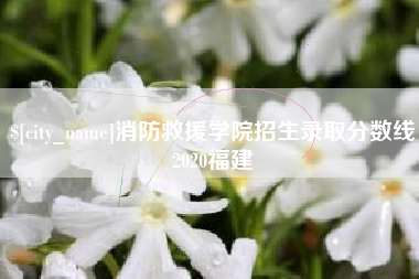 河南消防救援学院招生录取分数线2020福建