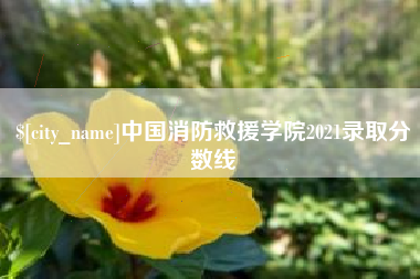 河南中国消防救援学院2021录取分数线