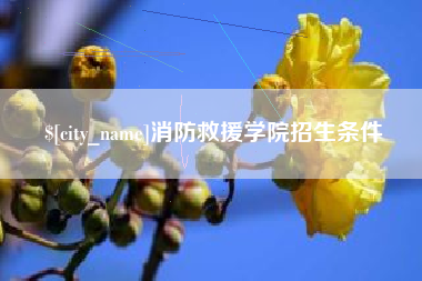 河南消防救援学院招生条件