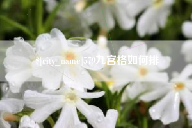 河南579九宫格如何排