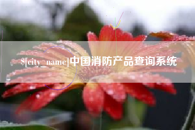 河南中国消防产品查询系统