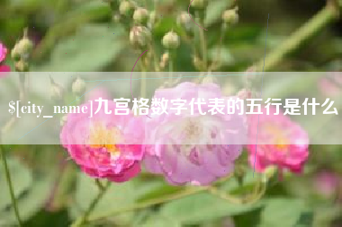 河南九宫格数字代表的五行是什么