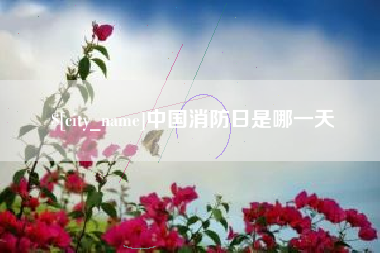 河南中国消防日是哪一天