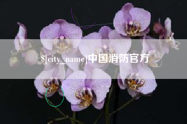 河南中国消防官方