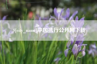 河南中国执行公开网下载
