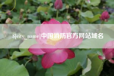 河南中国消防官方网站域名