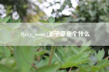 河南王子豪是个什么