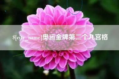 河南奥运金牌第二个九宫格