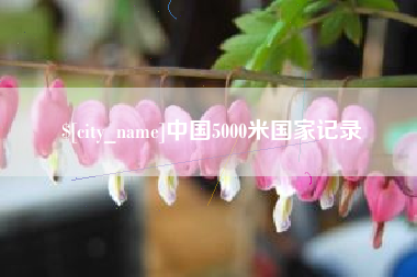 河南中国5000米国家记录