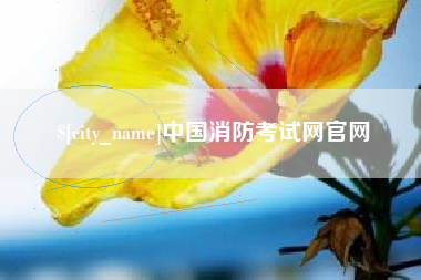 河南中国消防考试网官网