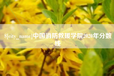河南中国消防救援学院2020年分数线