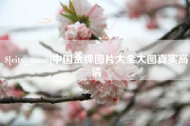 河南中国金牌图片大全大图真实高清