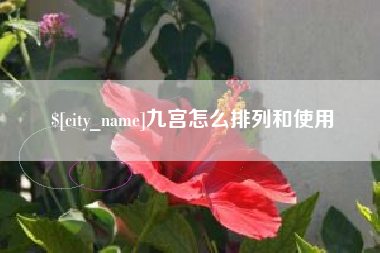 河南九宫怎么排列和使用