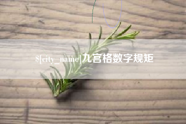 河南九宫格数字规矩