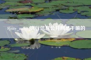 河南执行信息公开网是干嘛的