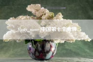 河南中国第十个金牌