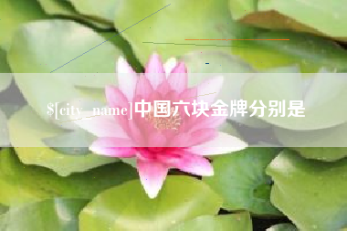 河南中国六块金牌分别是